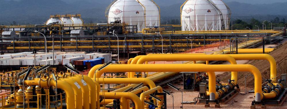 bolivia_granchacoplanta_4